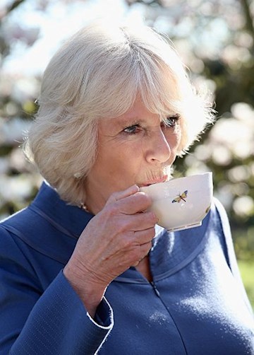 Trivdaily - 14 Rules The Royals Have To Follow 69 Camilla-Drinking-Tea