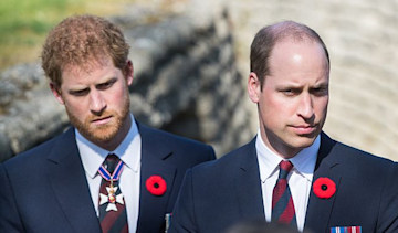 prince william and prince harry look solemn as they stand together