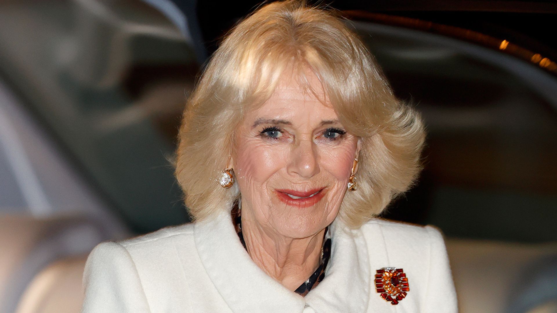 Queen Consort Camilla's secret Christmas outing with grandchildren ...