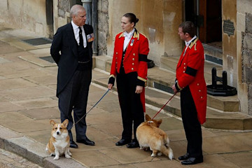 Prince Andrew and The Queen's corgis