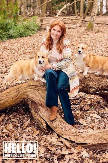 TrivDaily - Exclusive: Sarah Ferguson, Duchess of York gives insight into family life, the Queen and corgis 56 Sarah Ferguson sits with Queen's corgis on tree trunk for HELLO! shoot