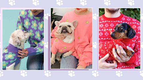 The best matching jumpers for you and your dog - but be warned, you might make other dog owners jealous