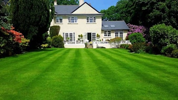 garden-lawn