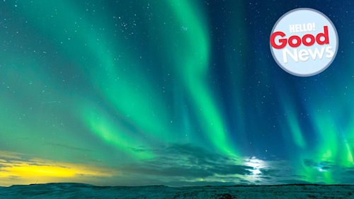 Did you know that you can live-stream the Northern Lights from home?