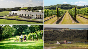 best-uk-vineyards-staycation