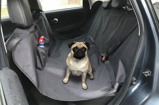 argos dog car harness