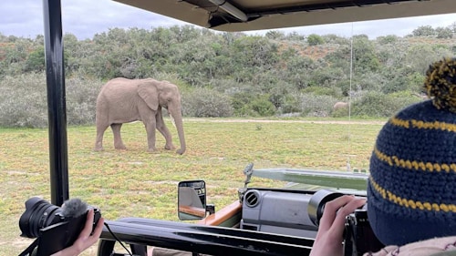 Where to take teens on safari: a South African family adventure