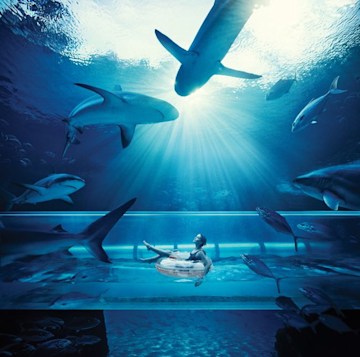 a woman relaxes in a rubber ring surrounded by aquariums filled with sharks and everything is swathed in blue light