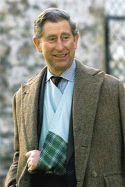 PRINCE CHARLES RELEASED FROM HOSPITAL FOLLOWING POLO ACCIDENT ON FRIDAY ...