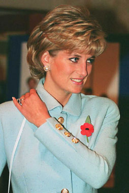 Judge rules Diana inquest won't be heard by a jury | HELLO!